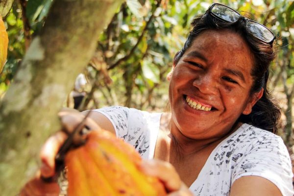 Genoveva, agricultora de cacau, a colher a sua colheita no projecto da Cordillera Azul.