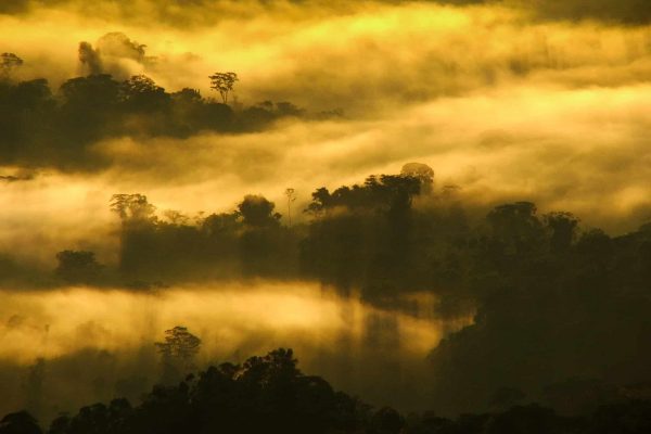 Lever de soleil dans le projet Cordillera Azul. Photo © Alvaro del Campo.