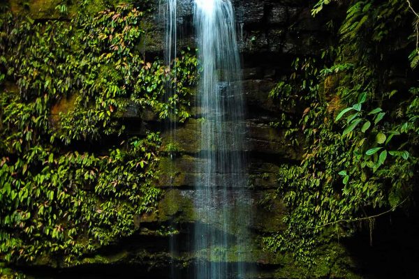 A waterfall in the Cordillera Azul project.
