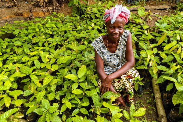 Nancy Mansarray, une habitante de la forêt tropicale de Gola, avec des plantes de pépinière.