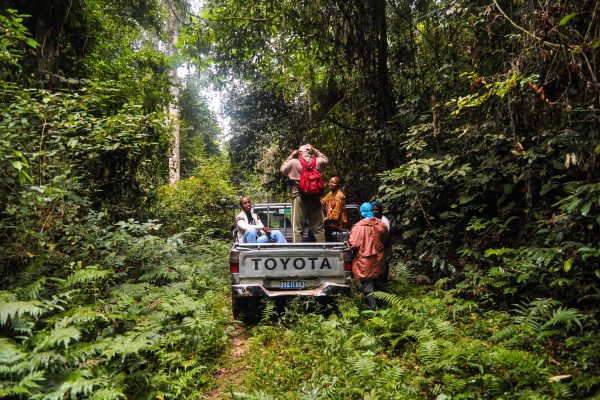Forest rangers in a truck in the Mai Ndombe project, Democratic Republic of the Congo.