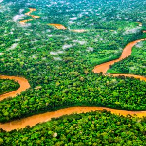 River through the rainforest of the Tambopata National Reserve, Peruvian Amazon