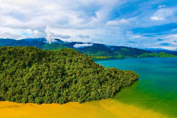 L'océan et la forêt tropicale dans le projet de la côte de conservation du Guatemala.