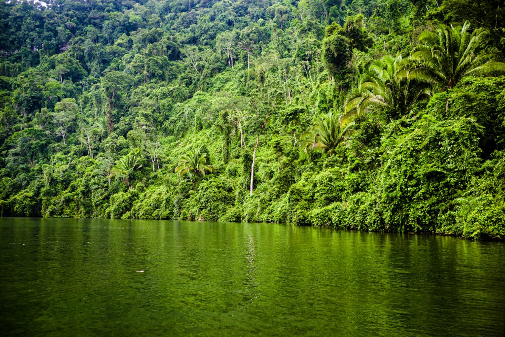 River and rainforest in the Guatemala Conservation Coast project.