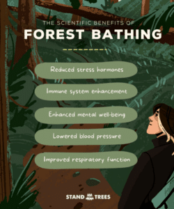 An image describing the scientific benefits of forest bathing