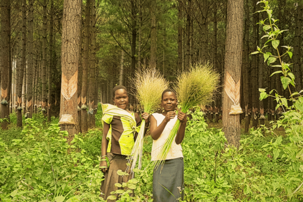 children-from-bukaleba-standing-in-forest