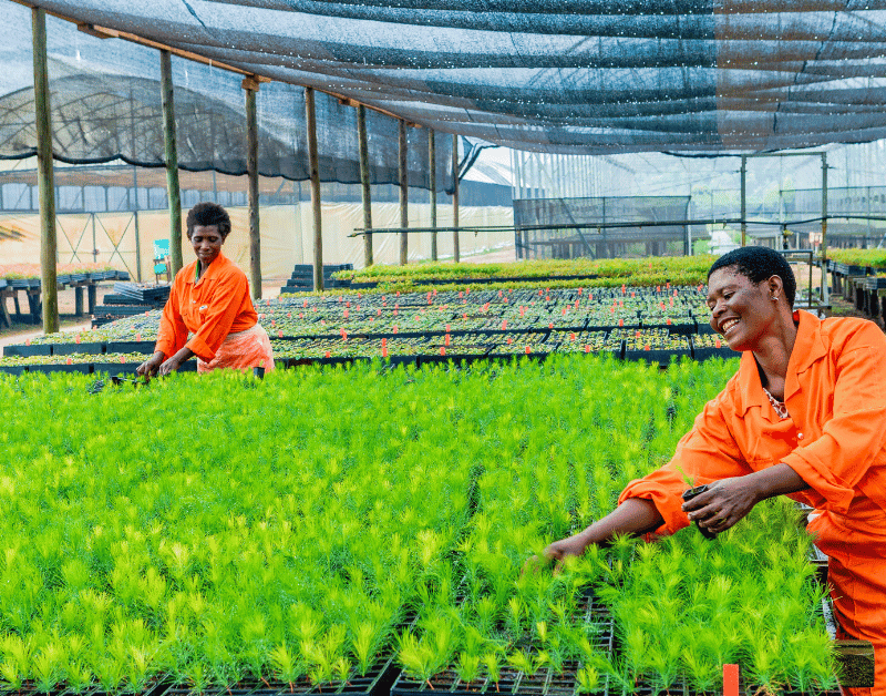 Two women smiling and working in greenhouse at bukaleba forest project