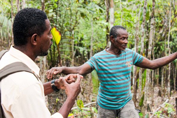 Membros da comunidade que discutem a agroflorestação da banana no projecto Comunidades Florestais do Pacífico, Colômbia.