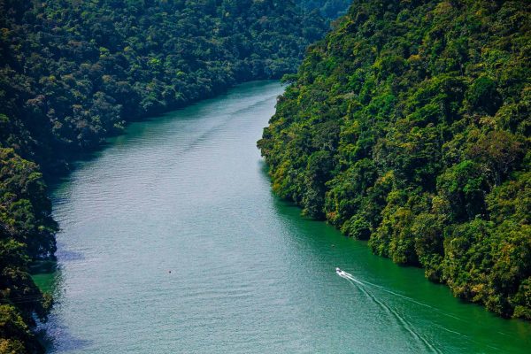 Un barco remonta un río en el proyecto de la Costa Caribe de Guatemala.