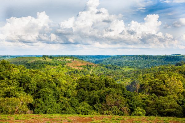 Landschaft und Wald im Keo Seima-Projekt, Kambodscha.