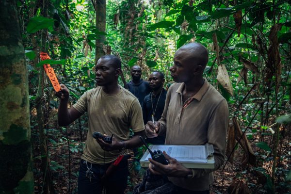 Forestiers surveillant et signalant les arbres dans le projet Mai Ndombe, RDC. Crédit photo : Filip C. Agoo pour Wildlife Works Carbon.
