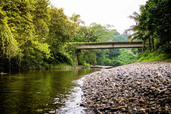 A river and bridge in the Pacific Forest Communities project, Colombia.