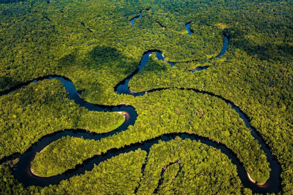 O rio Stung Proat serpenteia através da floresta tropical do sul de Cardamom, Camboja.
