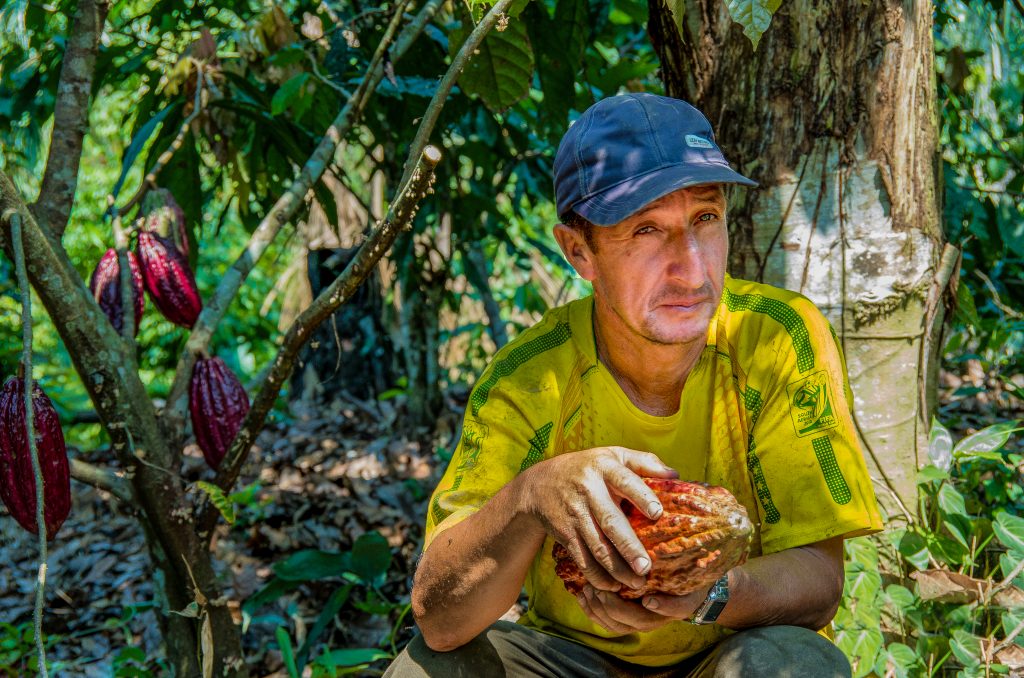 Víctor Córdoba, productor de cacao en el proyecto de Tambopata, Perú, sostiene algunos de sus frutos de cacao.