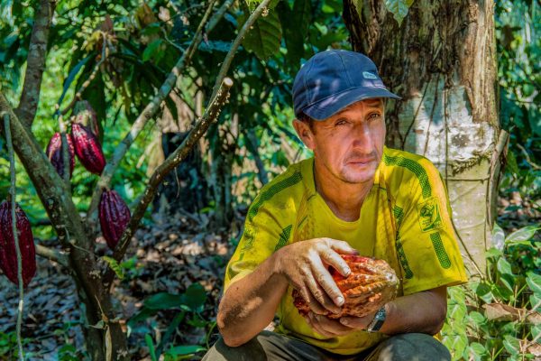 Victor Cordoba, um produtor de cacau no projecto Tambopata, Peru, detém alguns dos seus frutos de cacau.